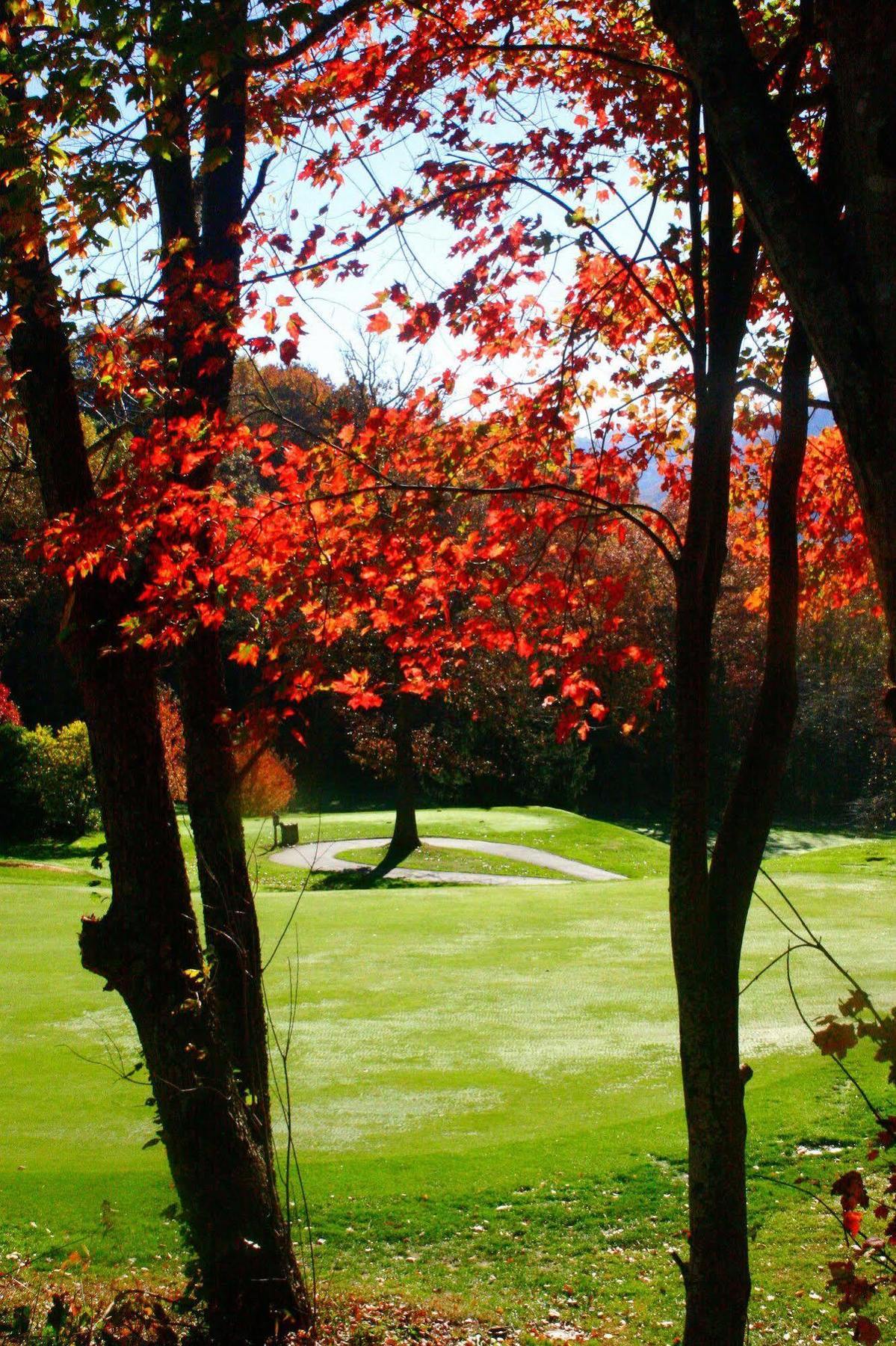 Aparthotel Peppertree Maggie Valley Exterior foto